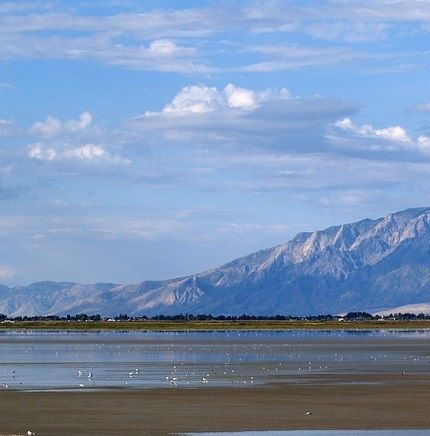 Great Salt Lake. Ett himmelrika för de som inte kan simma.