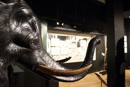 Musée Dali Paris.