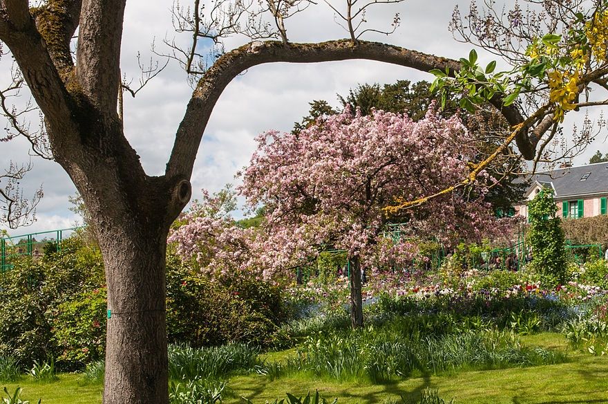 Foundation Monet in Giverny. Här får du själv uppleva den trädgård han målade i på senare år. Han kallade den för sin aletjé. Du kan också få titta in i det hus han bodde.