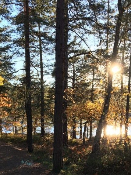 En strimma av hopp. Konstgjord glädje kan också vara delad glädje.