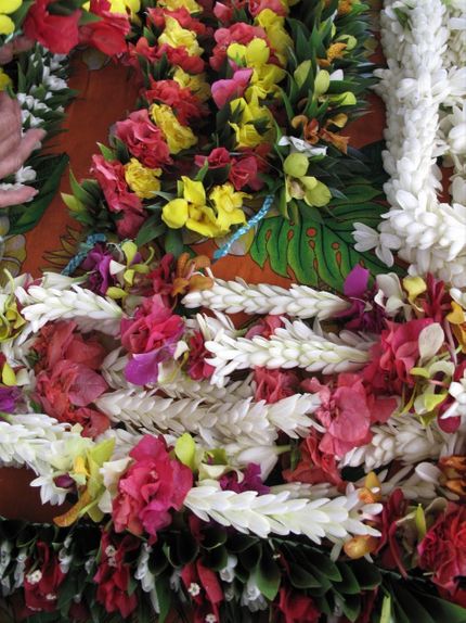 Blommor i överflöd.