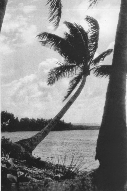 Landskap på Tahiti (Foto: Matisse).