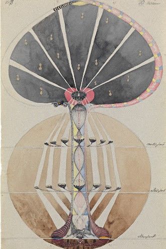 Kunskapens träd nr 3, Serie W, 1915.