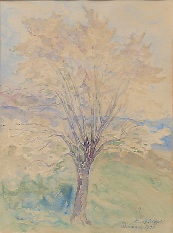 Ett stilbrott: Naturmotiv från Dornach, 1930.