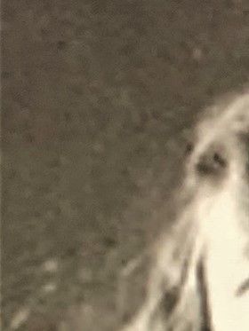 Sigrid Hjertén i början av 1920-talet.